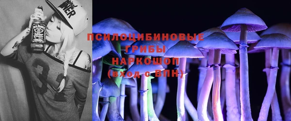 apvp Алексин