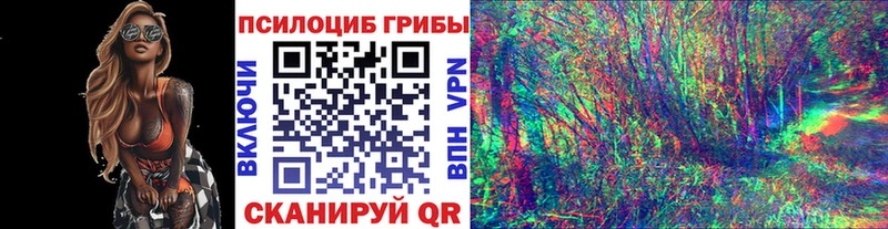 Псилоцибиновые грибы Cubensis  Гусь-Хрустальный 