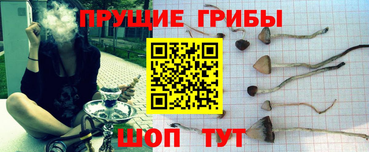 Псилоцибиновые грибы Magic Shrooms Гусь-Хрустальный